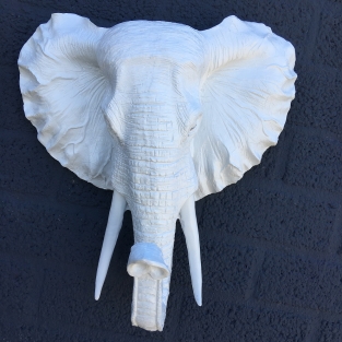 Beautiful white elephant head wall ornament, beautiful!!